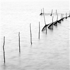 dailyPhoto5